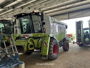 M.B. LEXION 550 INTENSIVE Home